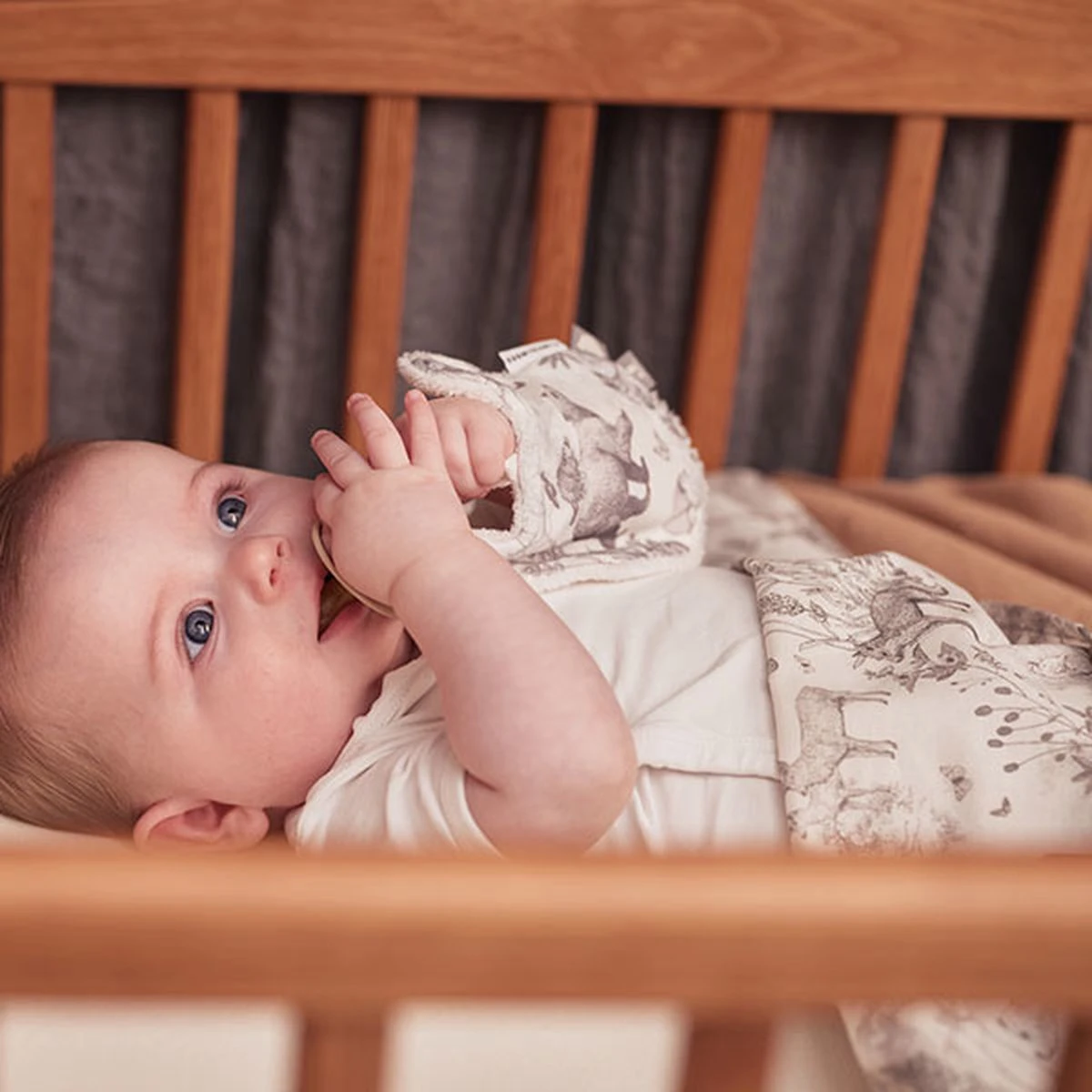 Jollein Baby Dekbedovertrek Met Sloop 100x135/140cm Pimpelmees - Forest Animals 11 Jollein Baby Dekbedovertrek Met Sloop 100x135/140cm Pimpelmees - Forest Animals - Afbeelding 9