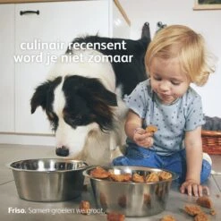 Friso 2 Babyvoeding - Opvolgmelk - 6 Tot 10 Maanden - 800g - Blik -Babyproducten Verkoop 1200x1200 188