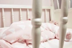 Meyco Clouds/Dots/Feathers Starterset - 9-pack - Hydrofiel - Pink 7 Meyco Clouds/Dots/Feathers Starterset - 9-pack - Hydrofiel - Pink -Babyproducten Verkoop 1200x800 3