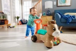 Fisher Price Fisher-Price Pony Loopvriendje - Looptrainer Baby - Bruin - Groen -Babyproducten Verkoop 1200x800 68